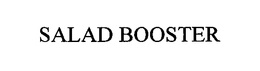 SALAD BOOSTER trademark