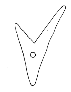V trademark