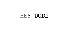 HEY DUDE trademark
