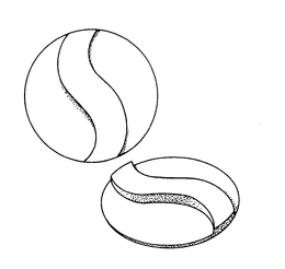 LogoMark trademark