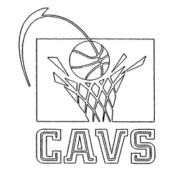 CAVS trademark