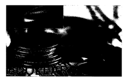 E DOLLARS trademark