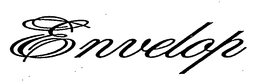 ENVELOP trademark