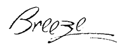 BREEZE trademark