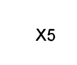 X5 trademark