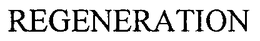 REGENERATION trademark
