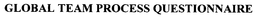 GLOBAL TEAM PROCESS QUESTIONNAIRE trademark