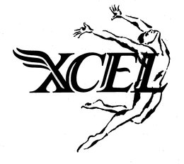 XCEL trademark