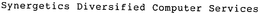 SYNERGETICS DIVERSIFIED COMPUTER SERVICES trademark