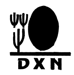 D X N trademark