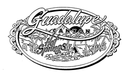 GUADALUPE CANYON HOT SPRINGS trademark