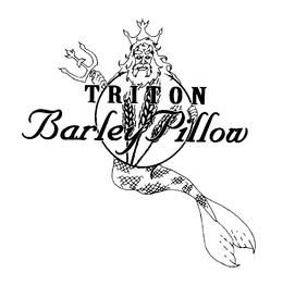 TRITON BARLEY PILLOW trademark