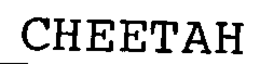CHEETAH trademark