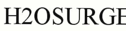 H2OSURGE trademark