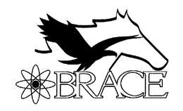BRACE trademark