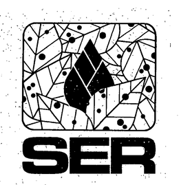 SER trademark
