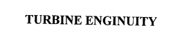 TURBINE ENGINUITY trademark