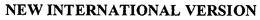 NEW INTERNATIONAL VERSION trademark