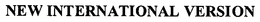 NEW INTERNATIONAL VERSION trademark