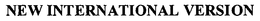 NEW INTERNATIONAL VERSION trademark