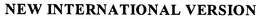 NEW INTERNATIONAL VERSION trademark