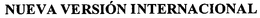 NUEVA VERSIÓN INTERNACIONAL trademark