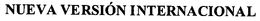 NUEVA VERSIÓN INTERNACIONAL trademark