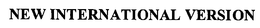 NEW INTERNATIONAL VERSION trademark