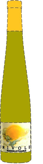 NIVOLE MICHELE CHIARLO trademark
