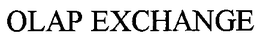 OLAP EXCHANGE trademark