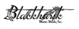 BLACKHAWK MOTOR WORKS, INC. trademark