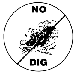 NO DIG trademark