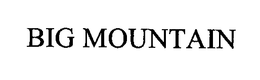 BIG MOUNTAIN trademark