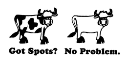 GOT SPOTS? NO PROBLEM. trademark