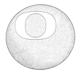 O trademark