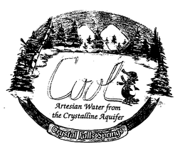 COOL ARTESIAN WATER FROM THE CRYSTALLINE AQUIFER CRYSTAL FALLS SPRINGS trademark