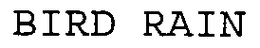 BIRD RAIN trademark