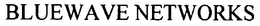 BLUEWAVE NETWORKS trademark
