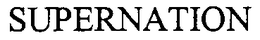 SUPERNATION trademark