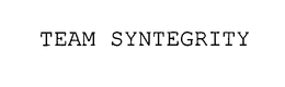 TEAM SYNTEGRITY trademark