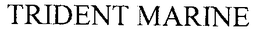 TRIDENT MARINE trademark