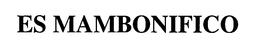 ES MAMBONIFICO trademark