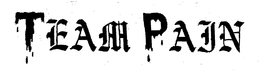 TEAM PAIN trademark