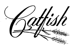 CATFISH trademark
