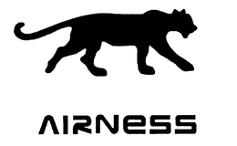 AIRNESS trademark