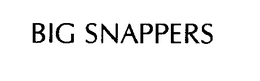 BIG SNAPPERS trademark