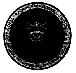REIGNING CATS & DOGS trademark