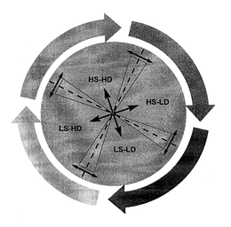 HS-HD HS-LD LS-LD LS-HD trademark