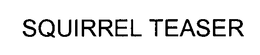 SQUIRREL TEASER trademark