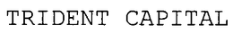 TRIDENT CAPITAL trademark